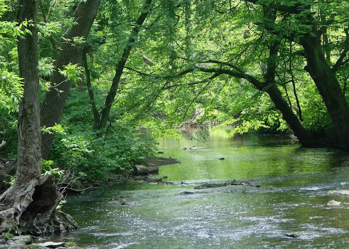 Water & Fire Restoration Services in Havertown, PA beautiful greenery found in havertown pennsylvania