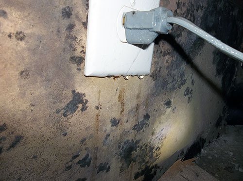 A water damage out-let