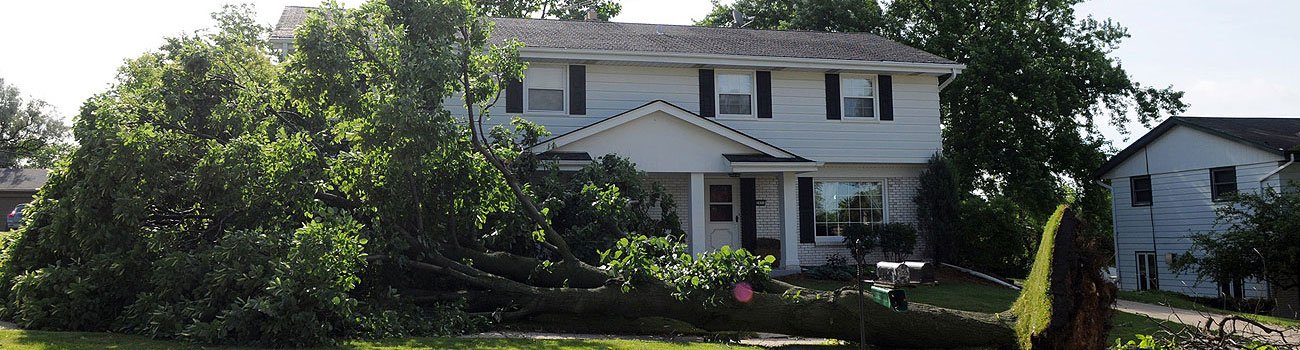 A Tree has fallen on a home after a major storm
