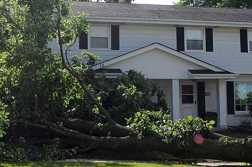 Tree knocked over onto home after a big storm