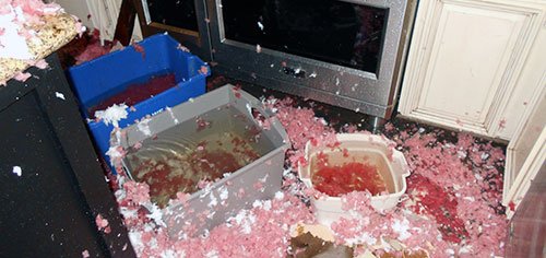 A water damage kitchen 
